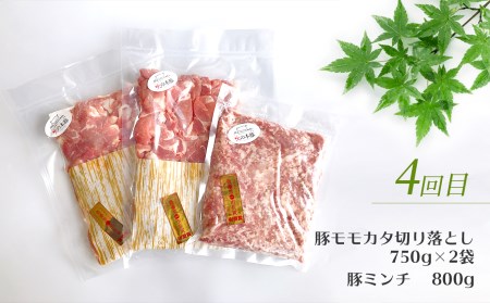 【定期4回発送】 火の本 豚 一頭まるごと便 合計7700g 豚肉