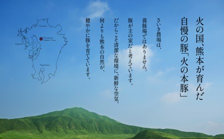 火の本 豚 食べ比べセット 切り落とし1100g しゃぶしゃぶ 用 ロース 600g 豚肉