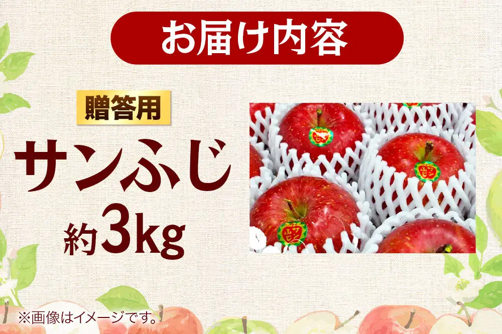 【26年12月発送】りんご 贈答用 サンふじ 約3kg