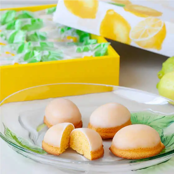 ガトーフリアン の 檸檬ケーキ 10個 / レモン ケーキ デザート おやつ / 南島原市 / ながいけ [SCH005]