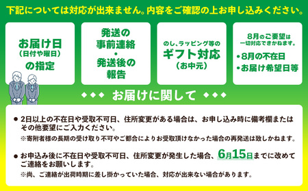 パイナップル【2026年発送】久米島印商店 パイナップル（ハワイ種Ｎ67-10）2個（1.5kg以上×2） パイン フルーツ 
