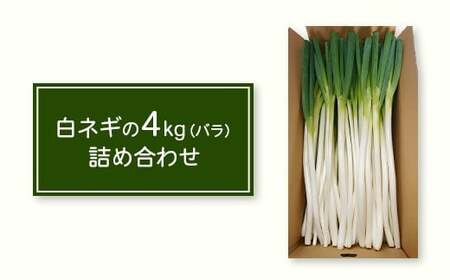 鳥取県産　【訳あり】白ネギ4kg