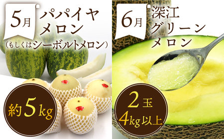 【3回定期便】フルーツ定期便  贅沢宝庫 [SDZ024]