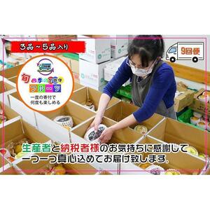 【定期便9回Sサイズ】 フルーツ セット 定期便 ( 約3 ～ 5品 × 9ヶ月 ) ｜産直あきんど 香川産 四季のフルーツ 創業100年