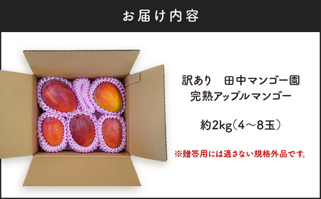 【 2026年 先行予約 】 訳あり 田中マンゴー園 完熟 アップル マンゴー 約 2kg（ 4～8玉 ）（ ご家庭用 ） W001-008u わけあり 果物