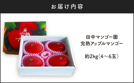 【 2026年 先行予約 】 沖永良部 完熟 アップル マンゴー 4～6玉で2kg W001-010u 果物