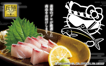 【ぶり 先行予約 11月発送】ひろびろいけす ぶり (フィレ・片身) 1枚 | 津久見市
