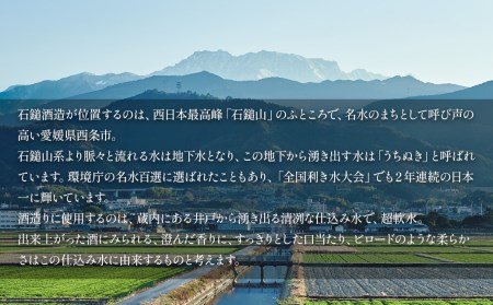 石鎚酒造「石鎚∫－INTEGRAL－」純米大吟醸 720ml×1本 インテグラル 高級　日本酒