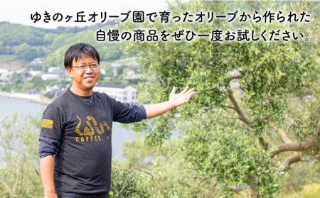 【6回定期便】オリーブ塩＆オリーブレモン塩 セット（各2個）計24個 長与町/ゆきのヶ丘オリーブ園 [EAV016]  調味料 オリーブ 塩