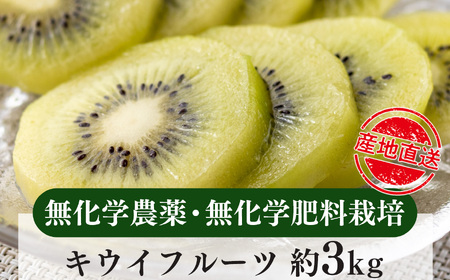 生命の農法（無化学農薬・無化学肥料栽培）キウイフルーツ（約3kg）キウイ　フルーツ　キウイフルーツ