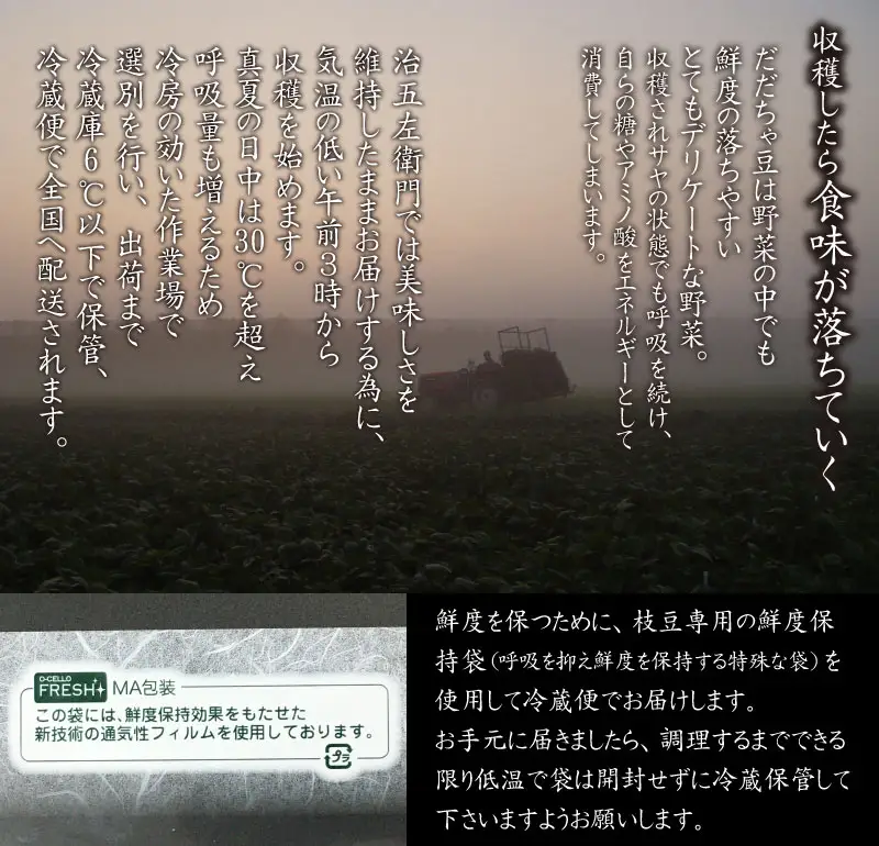 【令和8年産先行予約】【3回定期便】 山形セレクション認定！15代目「治五左衛門」の新鮮だだちゃ豆３種類食べくらべセット