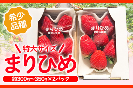 ＜先行予約＞希少！まりひめ　特大サイズ約300g～350g×2パック きよ農園