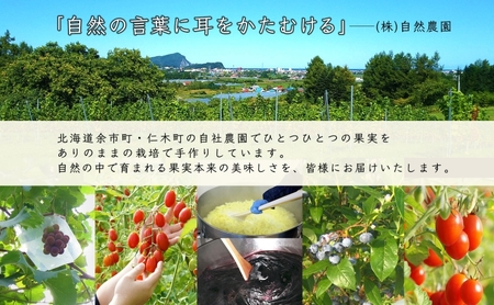 北海道産 ブルーベリージャム リンゴジャム 食べ比べ 180g 4個 ギフト セット りんご 林檎 フルーツ 果物 自然農園 お取り寄せ ギフト gift 仁木町 余市町