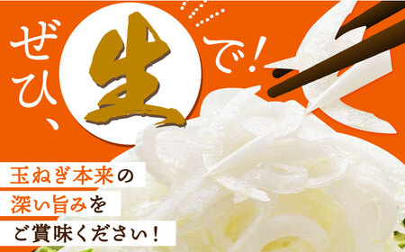 江北町産たまねぎ約10kg HAE017 玉ねぎ 野菜 