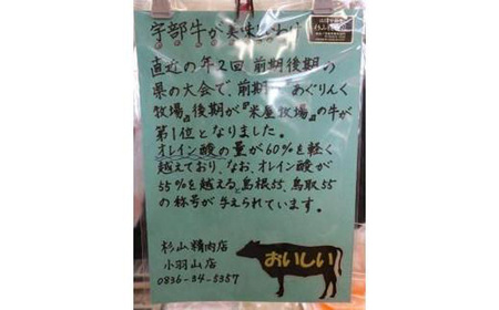 【宇部牛】社長おまかせプレミアム定期便【６回便】＜１００万円コース＞黒毛和牛Ａ５ランク 和牛