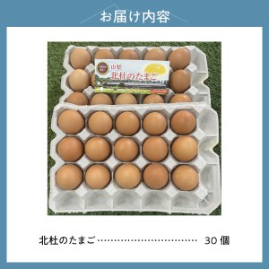 北杜のたまご（30個入） [h199]