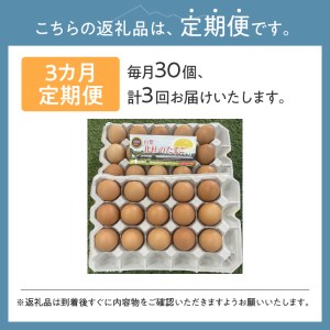 ☆彡3か月定期便☆彡　北杜のたまご（30個入） [h199]