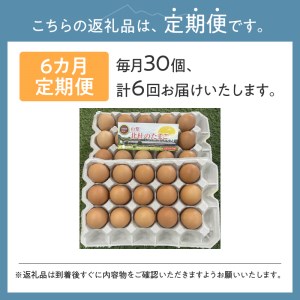 ☆彡6か月定期便☆彡　北杜のたまご（30個入） [h199]