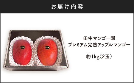 【 2026年 先行予約 】田中マンゴー園の プレミアム 完熟 アップルマンゴー 1kg （ 2玉 ）  W001-011u 果物 マンゴー