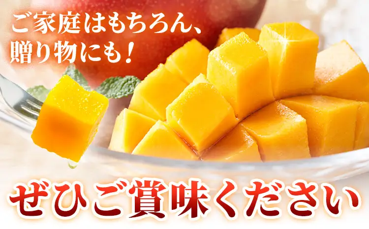 鹿児島県産 完熟マンゴー 化粧箱入り 約1kg 祝迫果樹園《6月中旬-7月中旬頃出荷》鹿児島県 さつま町 マンゴー 果実 果物 くだもの フルーツ 果肉 果汁 高級 ご褒美 贅沢 グルメ