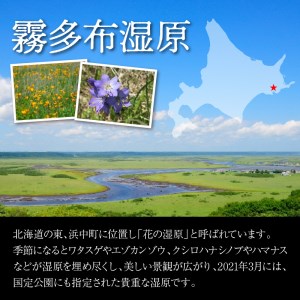 霧多布湿原を中心とする環境保全活動への寄附　霧多布湿原を中心とする環境保全活動への寄附 3,000円 寄附 支援 寄付のみ 返礼品無し 寄付金 霧多布湿原 国定公園 花の湿原 景観保全 動植物の保全 湿原を再生 環境 保全 活動 調査研究事業 地元 町内 NPO法人 ナショナルトラスト 北海道 浜中町_270001
