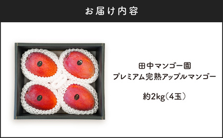 【 2026年 先行予約 】 田中マンゴー園 の プレミアム 完熟 アップルマンゴー 2kg （ 4玉 ）  W001-012u 果物 マンゴー