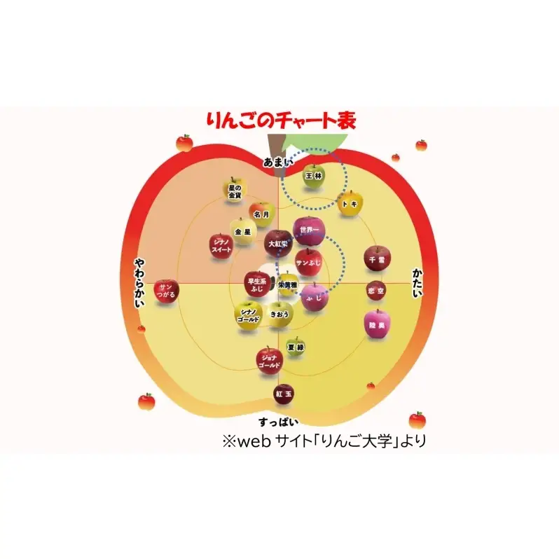 りんご 【1月発送】糖度13度～ 家庭用 サンふじ 王林 約10kg　リンゴ 林檎 青森りんご 糖度 13度 甘い 酸味 デザート フルーツ 果物 お取り寄せ 産地直送 旬 季節限定 弘果物流 青森県 西目屋村 西目屋村産