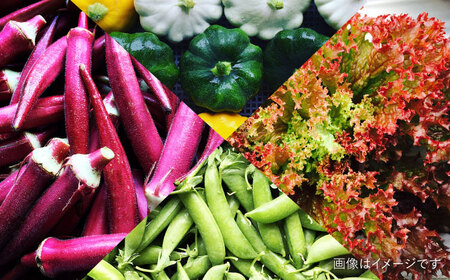 【☆畑直送☆栽培期間中農薬不使用！】お 米 2kg & 野菜 5品 の セット 糸島市 / オーガニックナガミツファーム 	[AGE035]