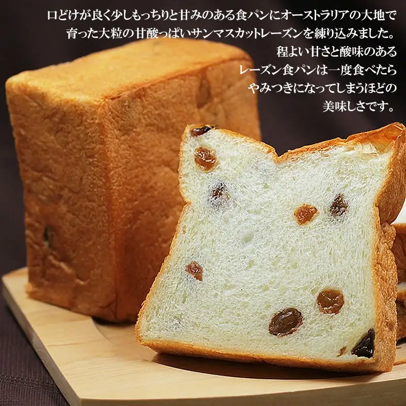 高級食パン 許してちょんまげプレーン・レーズンセット 各1本【清川屋】