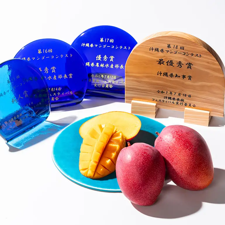 【 先行予約 2026年 発送 】コーラルファーム アップルマンゴー 2kg (4～6玉) 優品 沖縄県産 マンゴー アーウィンマンゴー 2キロ 国産 完熟マンゴー 果物 くだもの フルーツ 完熟 夏 沖縄 お取り寄せ ギフト 産地直送 農家直送 糸満市