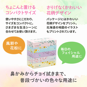 【2回お届け 計120箱】エリエール i:na (イーナ) 北海道 ティシュー 150組5箱 12パック ティッシュペーパー 箱ティッシュ まとめ買い 防災 常備品 備蓄品 消耗品 日用品 生活必需品 送料無料 赤平市 福祉用品 雑貨 
