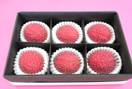 【期間限定発送】 特選 大粒 生ライチ 6粒入り [大黒園 宮崎県 日向市 452060924]