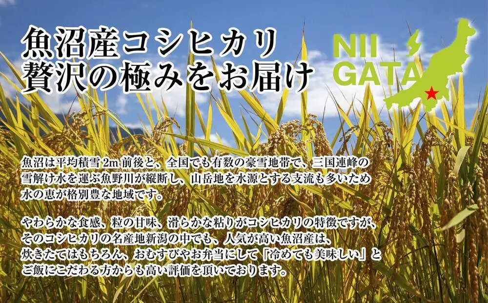DH15 【定期便】 新潟県 魚沼産 コシヒカリ お米  20kg×計12回 精米済み 1年間 毎月発送 こしひかり（お米の美味しい炊き方ガイド付き）