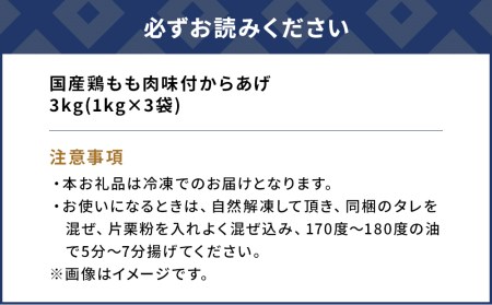 からあげ もも肉  1kg×3袋 | からあげ 津久見市
