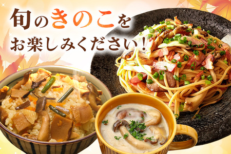 きのこの詰め合わせ Mサイズ 1.5kg 茨城県共通返礼品 城里町産 舞茸 椎茸 あわび茸 たもぎ茸 はなびら茸 完全室内栽培 栽培期間中農薬不使用 安心 安全 栄養豊富 こだわりのキノコ詰め合わせ 直送 新鮮 旬 おすすめ セット 贈り物
