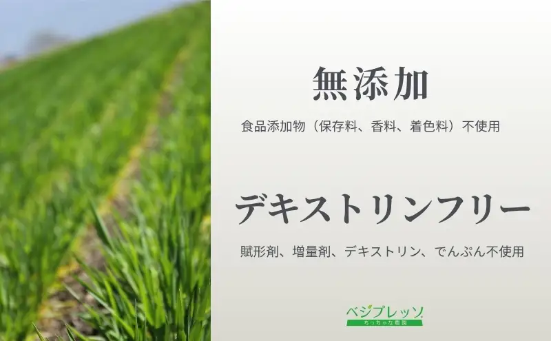 【定期便】【無添加青汁】青汁ミルク風味（5g×30包）3か月連続お届け 無添加青汁 デキストリンフリー青汁 デキストリン無添加青汁 粉末青汁 駒ヶ根市