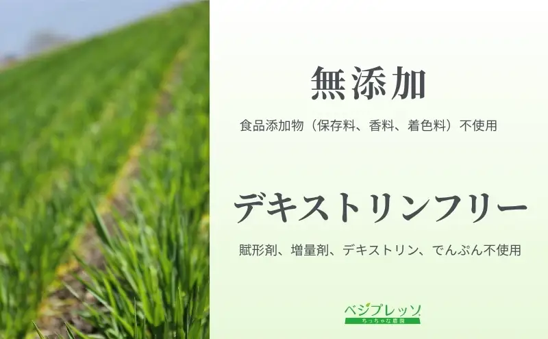 【定期便】【無添加青汁】本格青汁（3g×30包）3か月連続お届け 無添加青汁 デキストリンフリー青汁 デキストリン無添加青汁 粉末青汁 駒ヶ根市