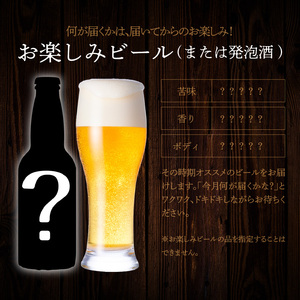 【6ヶ月定期便】宮崎ひでじビールお楽しみ６本セット N073-YZE057