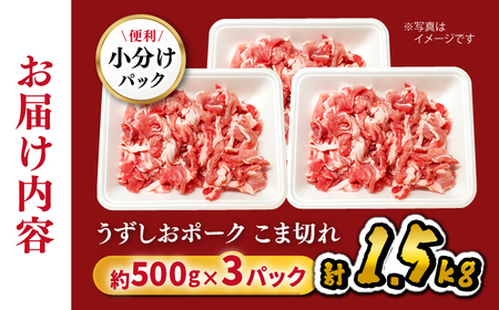 豚肉 こま切れ 1.5kg 訳あり 国産豚 小分け こま切れ CAG015