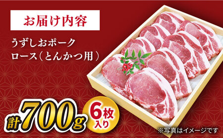 トンカツ用 豚 700g 訳あり CAG100 トンカツ
