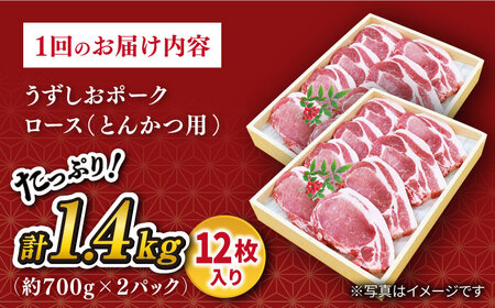 【訳あり】【月1回1.4kg×3回定期便】長崎うずしおポーク ロース（とんかつ用）計4.2kg＜スーパーウエスト＞ [CAG104]