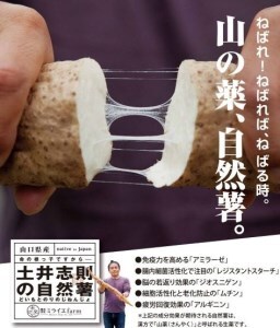 A017 【山薬王】命の根っこですから。美味しく美腸活！贅沢自然薯定期便（月2回/24回お届け）