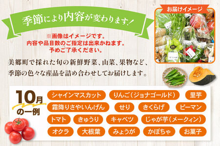 季節の産直詰め合わせ 野菜 山菜 果物 フルーツ お菓子 など