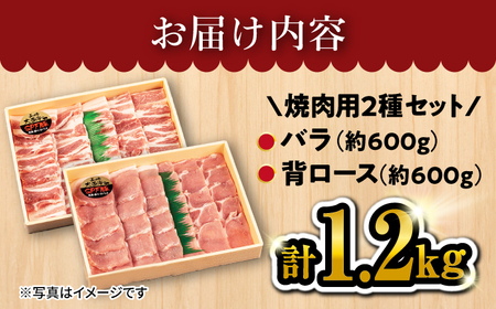 国産豚 SPF豚 ロース/バラ 焼肉 2種 計1.2kg CCY007 焼肉 国産豚 贈答