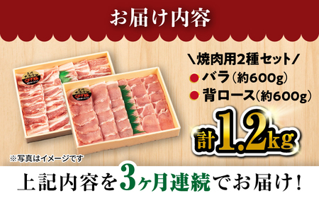 【3回 定期便 】 焼肉 豚 大西海 SPF豚 背ロース ＆ バラ （ 焼肉 用）計1.2kg（各600g）焼肉 焼肉 肉 食品 肉類 国産 豚肉 食べ比べ こだわり セット 甘み 旨み 豚バラ バラ肉 豚ロース 贈答 ギフト SPF豚  訳あり ＜大西海ファーム＞ [CEK044]