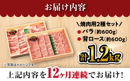【12回 定期便 】 大西海 SPF豚 背ロース ＆ バラ（ 焼肉 用）計1.2kg（各600g） ＜大西海ファーム＞ [CEK102]