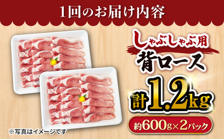 12回定期便 大西海SPF 豚 背ロース しゃぶしゃぶ 計1.2kg 訳あり ＜大西海ファーム＞ [CEK127] しゃぶしゃぶ