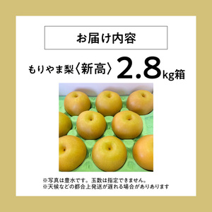 びわこもりやまフルーツランド  もりやま梨　新高詰め合わせ  完熟採り　生産農家直送 CV-0014