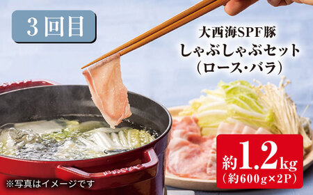 3回定期便 大西海SPF豚 便利 3種セット 総計4.2kg 訳あり ＜大西海ファーム＞ [CEK182] 定期便