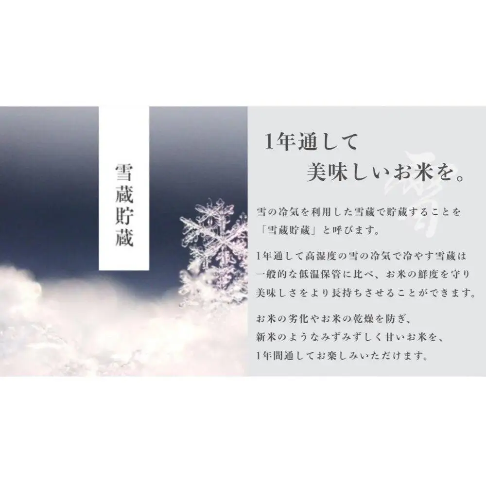 《 令和7年産》【 定期便 】〔 真空パック 2合 × 12袋 〕×12ヵ月《 雪蔵貯蔵米 》 最高金賞受賞 南魚沼産コシヒカリ 雪と技   農薬8割減・化学肥料不使用栽培【定期便 銘柄米 ブランド米 精米 こしひかり コシヒカリ 魚沼産】